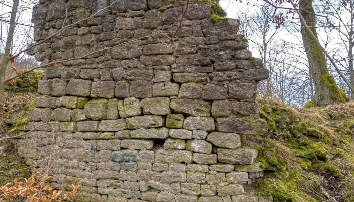 Ruine Habichtsburg - Deutschland