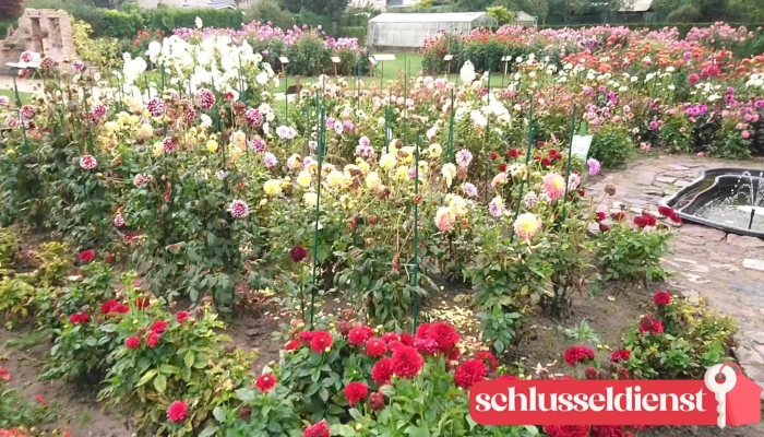 Salzmuseum Bad Sulze Videos - Bad Sülze