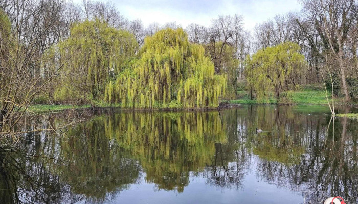 Schloßpark - Deutschland