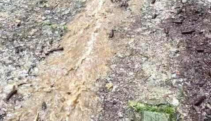 Schloss Brenz -  Videos - Sontheim An Der Brenz