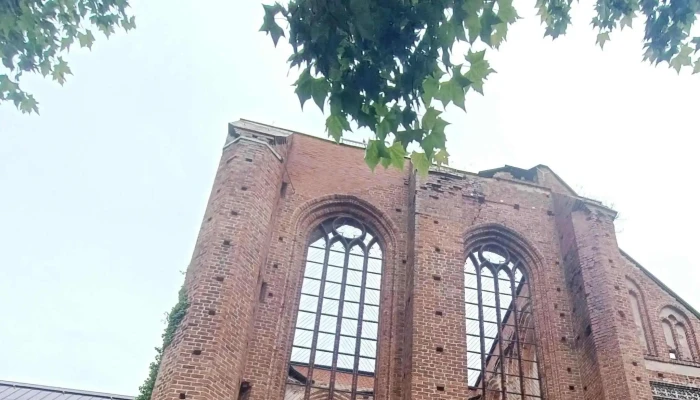 Schloss Dargun -  Nummer - Dargun