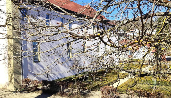 Schloss Datzingen Grafenau - Grafenau