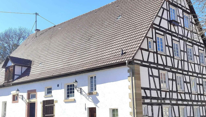 Schloss Datzingen Schloss - Grafenau