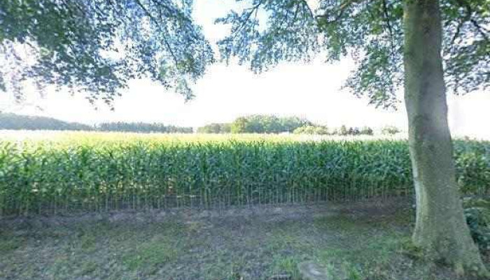 Schloss Eggermuhlen   Freiherr Von Boeselager Street View 360deg Fotos - Eggermühlen