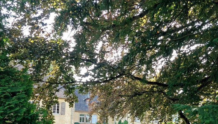 Schloss Hochhausen -  Schloss - Haßmersheim