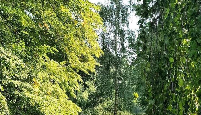 Schloss Lubzin Garten - Warnow