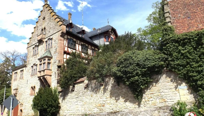 Schloss Nussdorf Alle - Eberdingen
