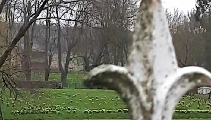 Schloss Oelber -  Videos - Baddeckenstedt