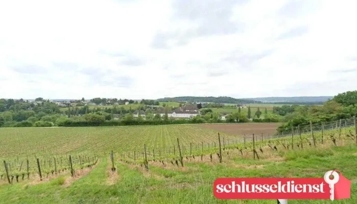 Schloss Rheinburg Keller & Moser GmbH - Gailingen Am Hochrhein