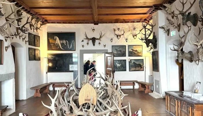 Schloss Waldburg -    Mittelalterliche Erlebniswelt Ritteressen Hochzeit Und Eventlocation Neueste - Waldburg