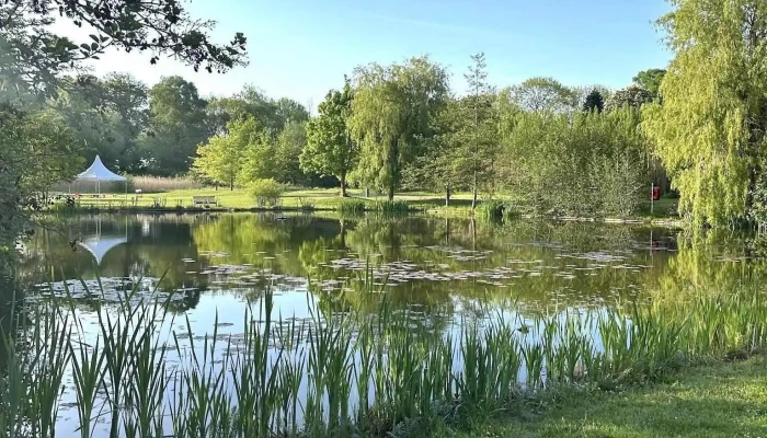 Schlossgut Gross Schwansee -  Neueste - Kalkhorst