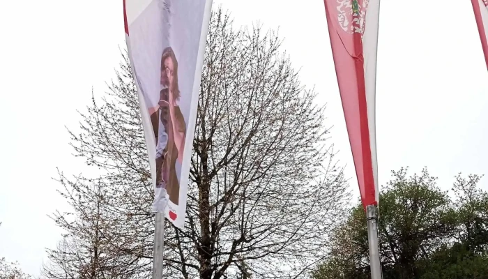 Schlossle Videos - Weingarten