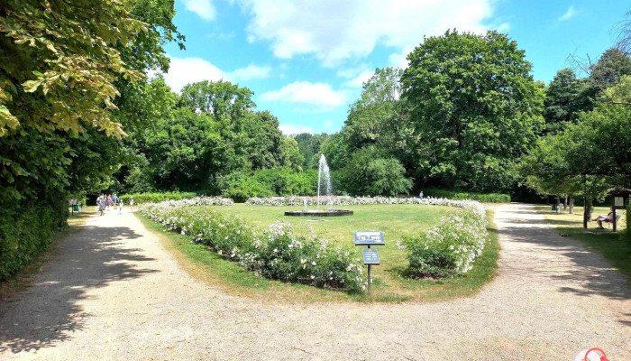 Schlosspark Buckow - 15377 Buckow (Märkische Schweiz)