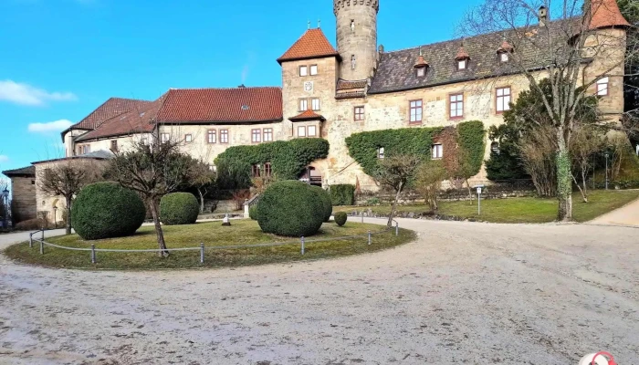 Schlosspark Schloss Hohenstein -  Principal - Ahorn