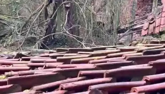 Steyerberg -  Videos - Steyerberg