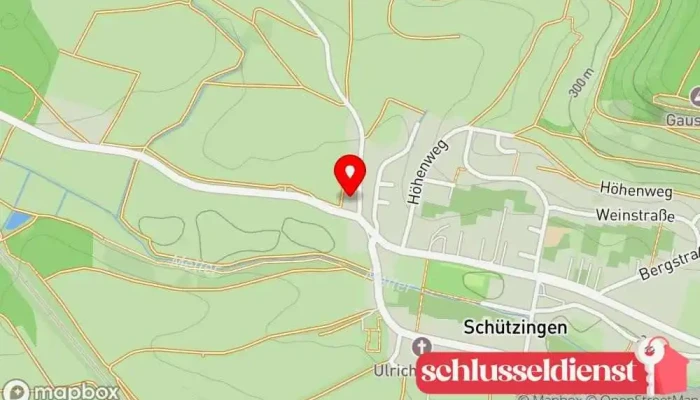 Karte von STS - Frühwirth GmbH Metall & Anlagenbau Schlüsseldienst in Illingen