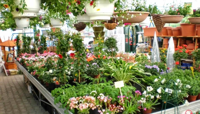 Uschis Gartencenter Alle - Zarrentin Am Schaalsee