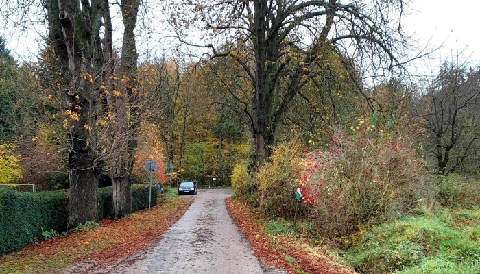 Wohnstatte Schloss Delligsen Katalog - Delligsen